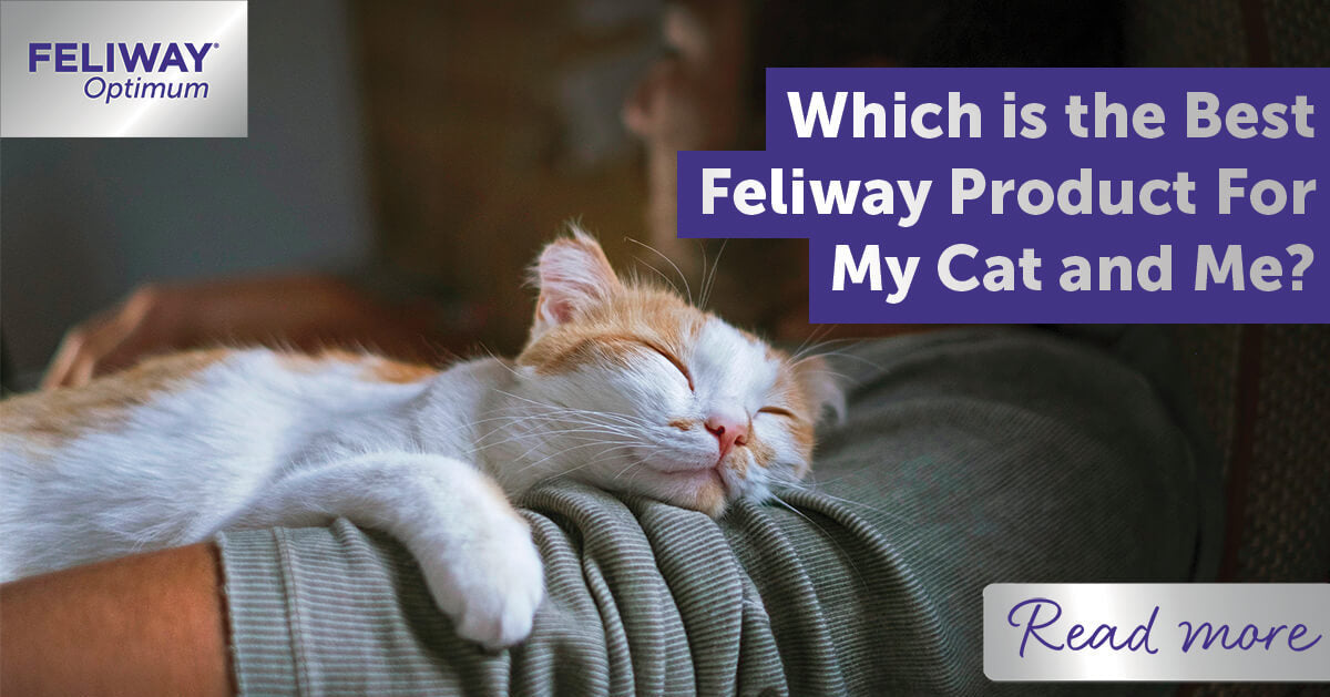 FELIWAY® Optimum, a new generation pheromone complex that calms cats better  than ever - Ceva