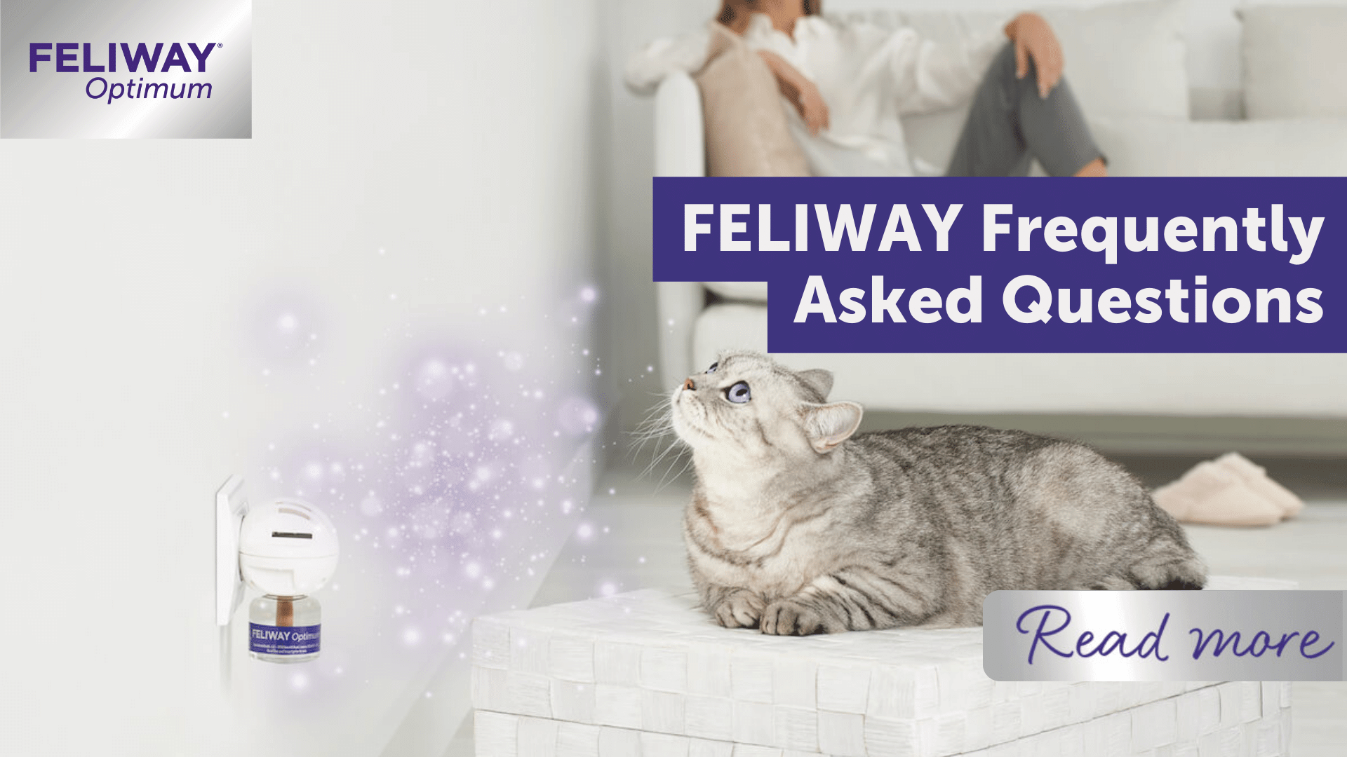 Feliway safe outlet