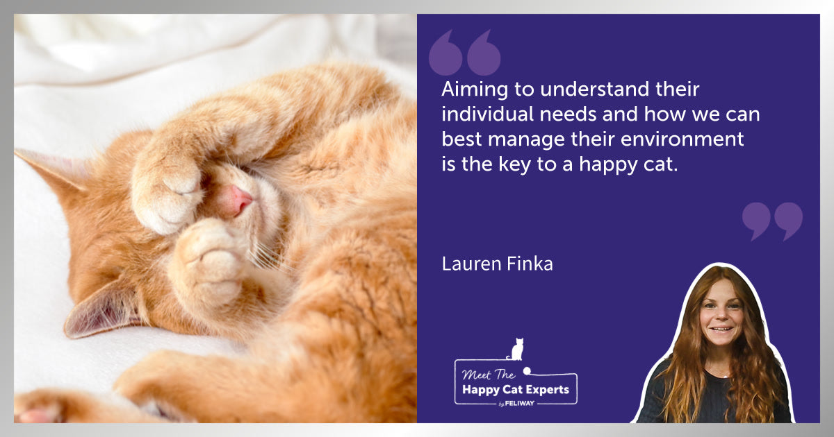 Understanding Your Cat’s Personality: A Happy Cat Expert Explains!