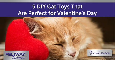 Ginger cat laying with heart shaped toy. 