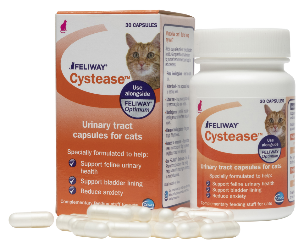 Feliway Cystease Advanced Urinary Tract Support for Cats