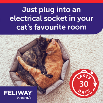 FELIWAY Friends Diffuser