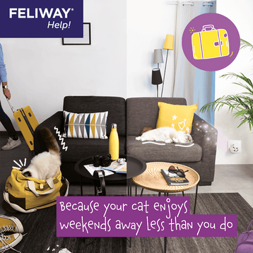 FELIWAY Help! Pack of 3 cartridges